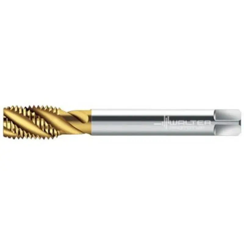 Walter Prototyp M2.5 x 0.45 C0 WY80AA HSS-E Spiral Flute Machine Tap