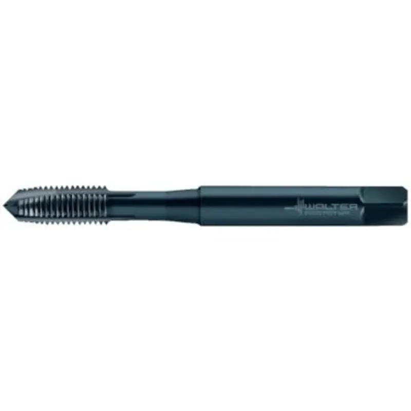 Walter Prototyp M2 x 0.4.5 x 0.45 C0 WY80FC HSS-E Spiral Point Machine Tap