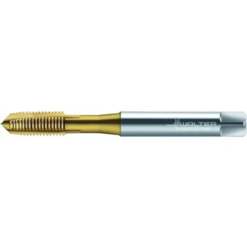 Walter Prototyp M2 x 0.4 C0 WY80AA HSS-E Spiral Point Machine Tap