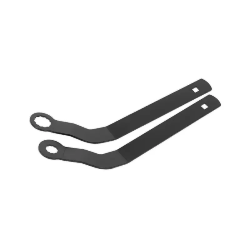 Sealey Auxiliary Belt Tensioner Spanner Set - for BMW Mini