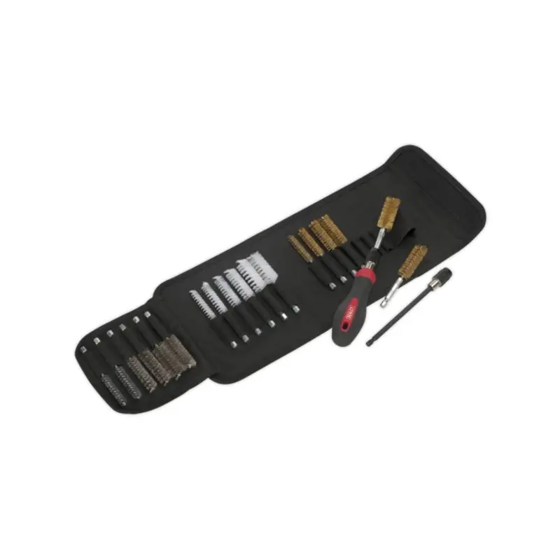 Sealey Cleaning & Decarbonising Brush Set 20pc
