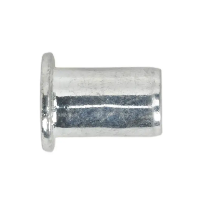 Sealey Threaded Insert (Rivet Nut) M10 Regular Pack of 50
