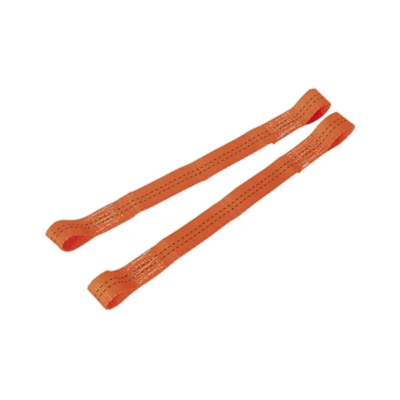 Sealey Tie Down Securing Loop - Pair