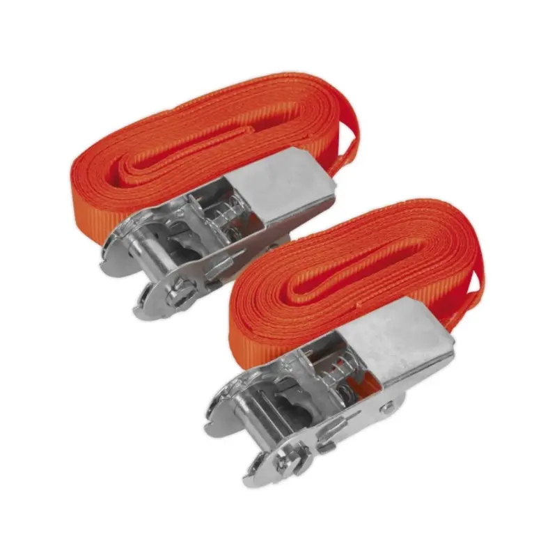 Sealey Self-Securing Ratchet Straps 25mm x 4.5m 500kg Breaking Strength - Pair