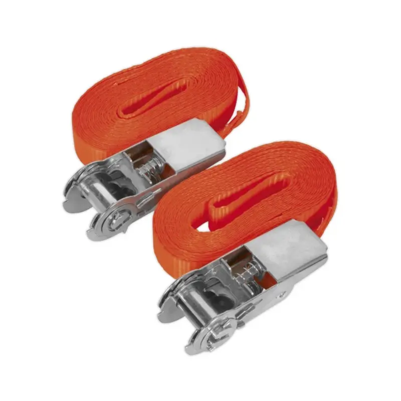 Sealey Self-Securing Ratchet Straps 25mm x 4.5m 800kg Breaking Strength - Pair