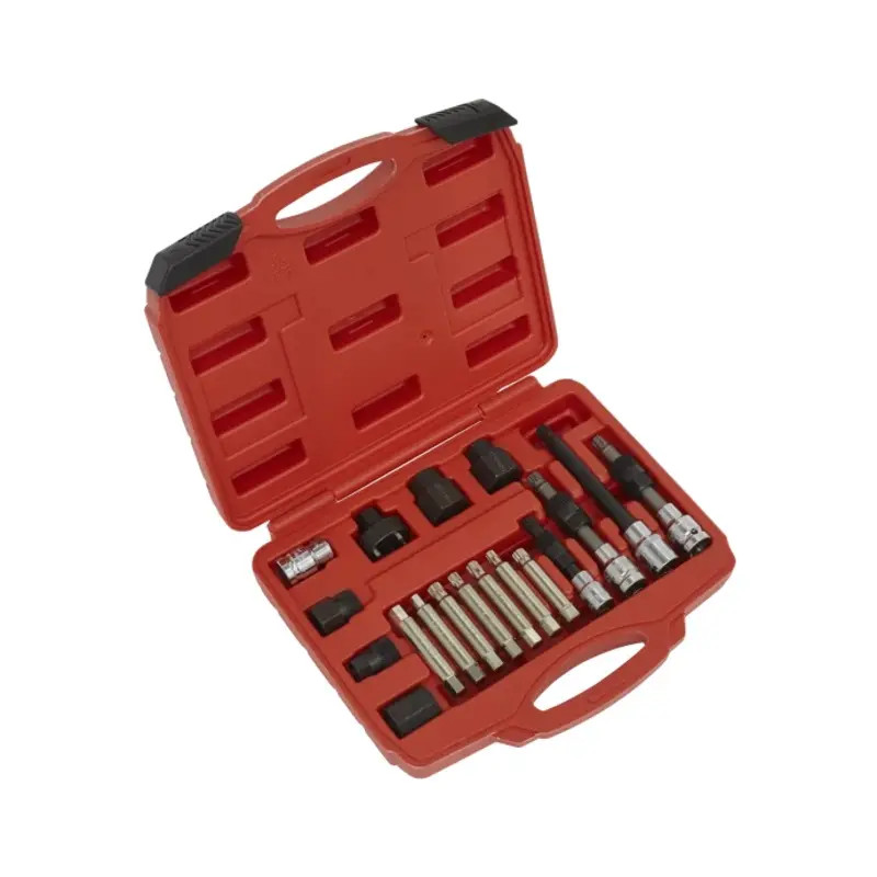 Sealey Alternator Freewheel Pulley Removal Set 18pc
