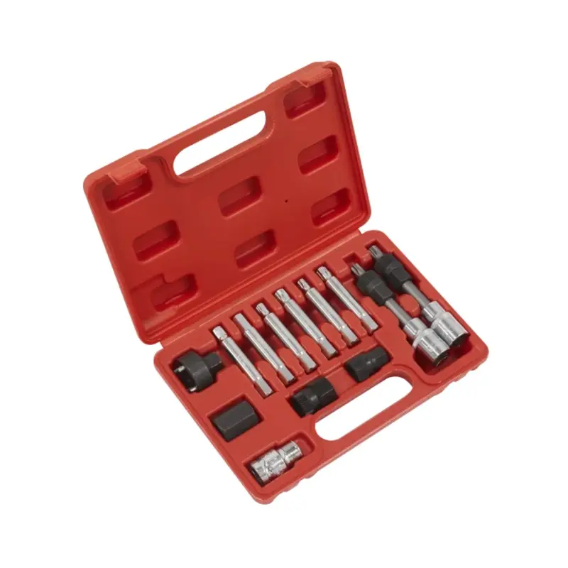 Sealey Alternator Freewheel Removal Set 13pc