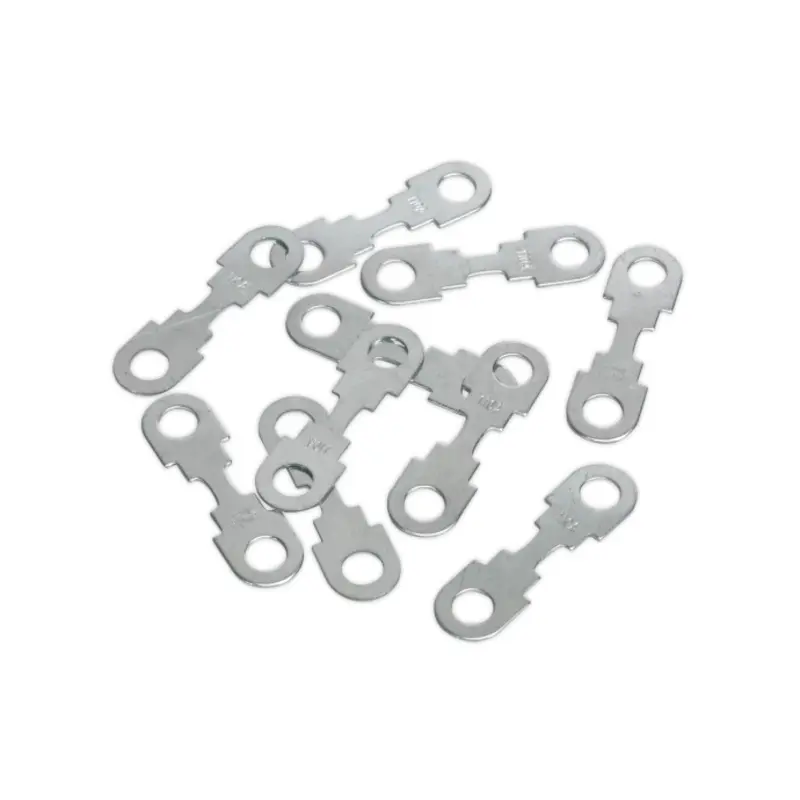 Sealey Fuse 110Amp for START560 Pack of 10
