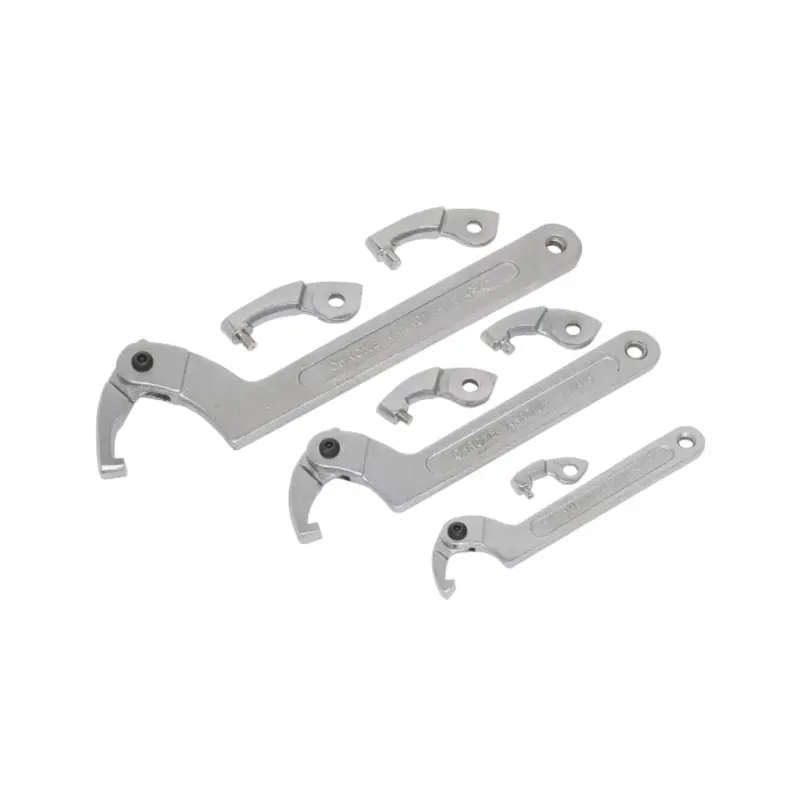 Sealey Adjustable C-Spanner - Hook & Pin Wrench Set 11pc