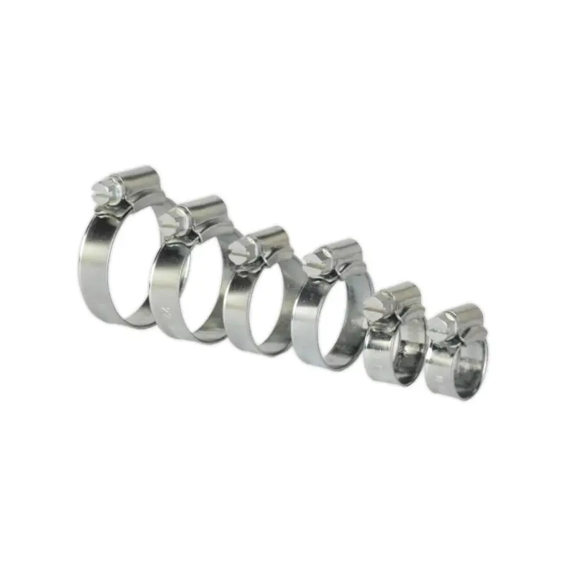 Sealey Hose Clip Assortment 30pc 8-29mm Zinc Plated